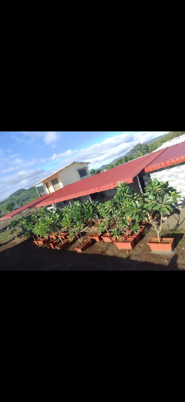 Farm View