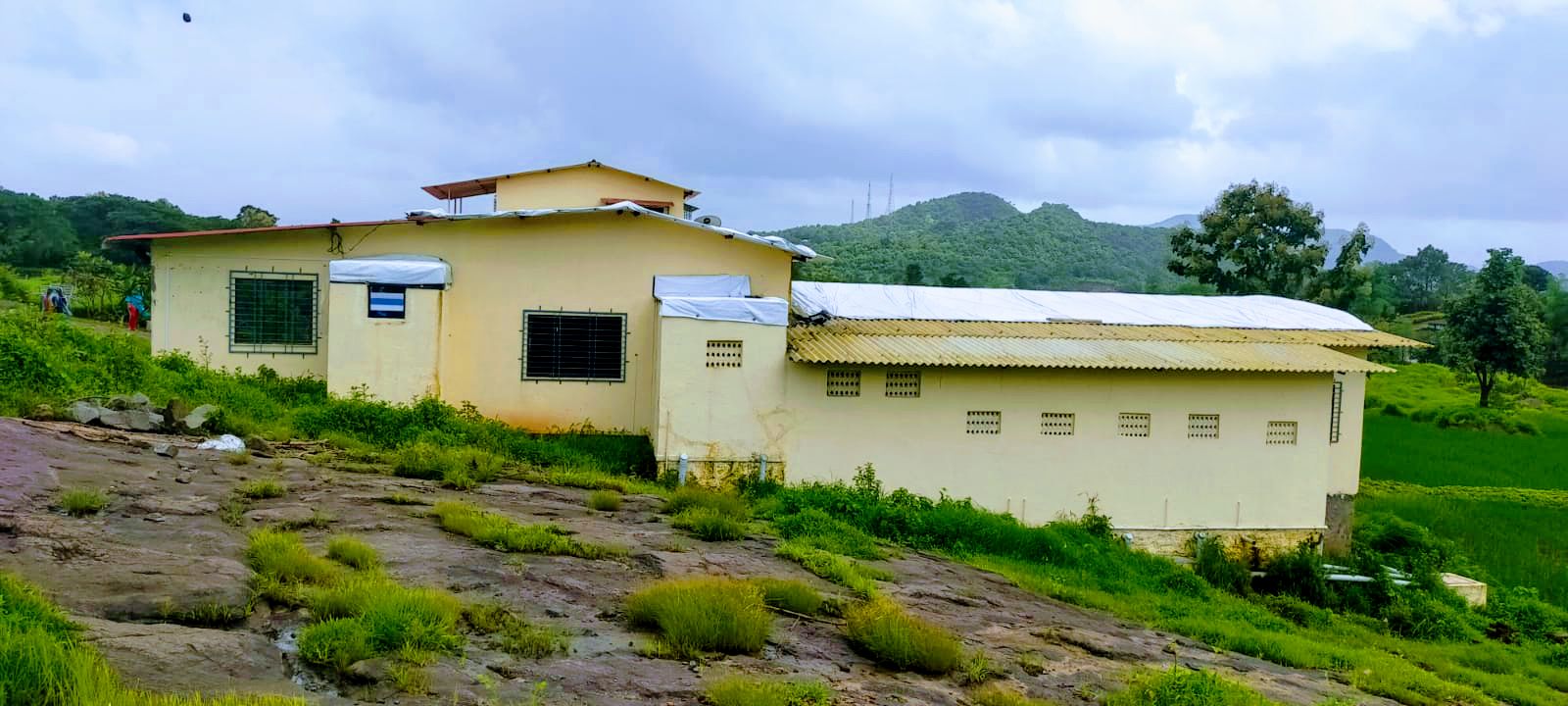 Garden Area